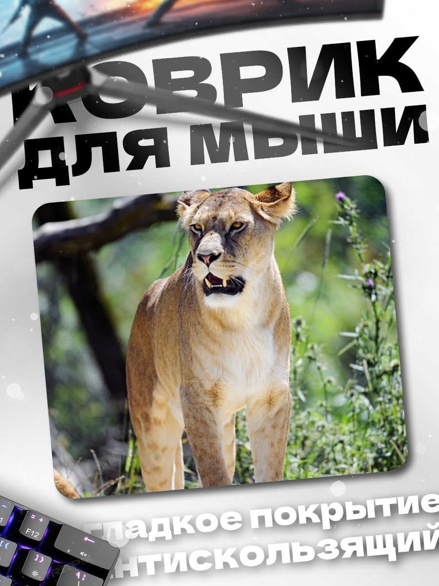 Коврик горный лев