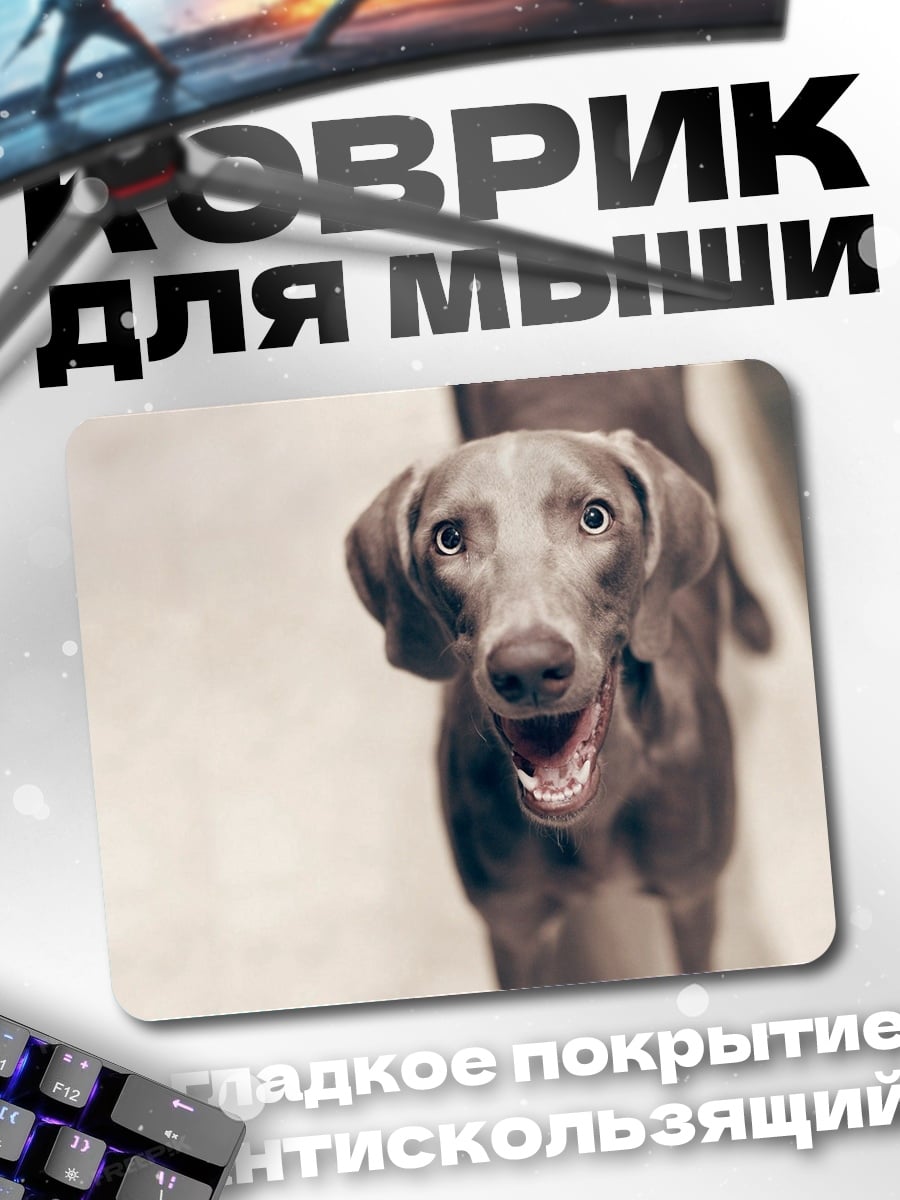 Коврик Смотрящий пес