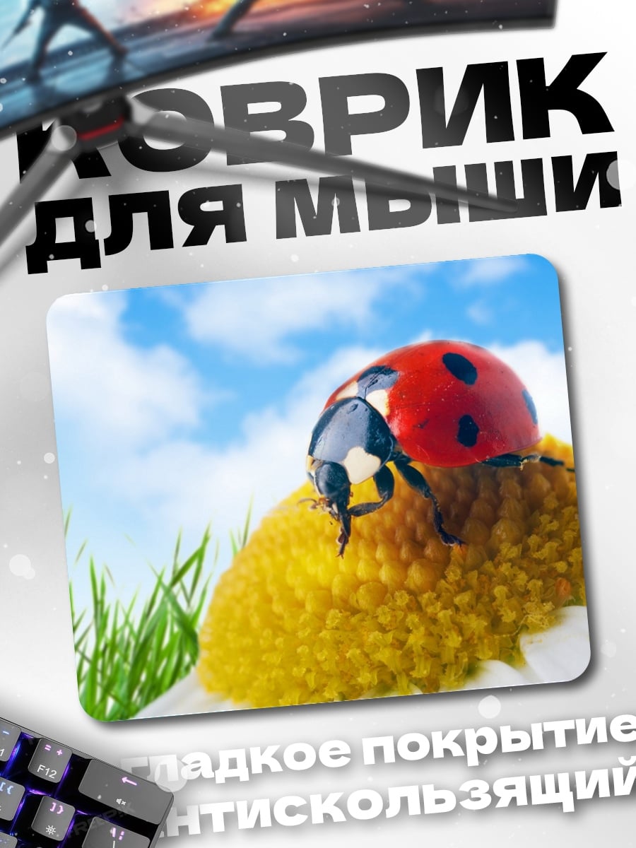 Коврик Божья коровка на цветке