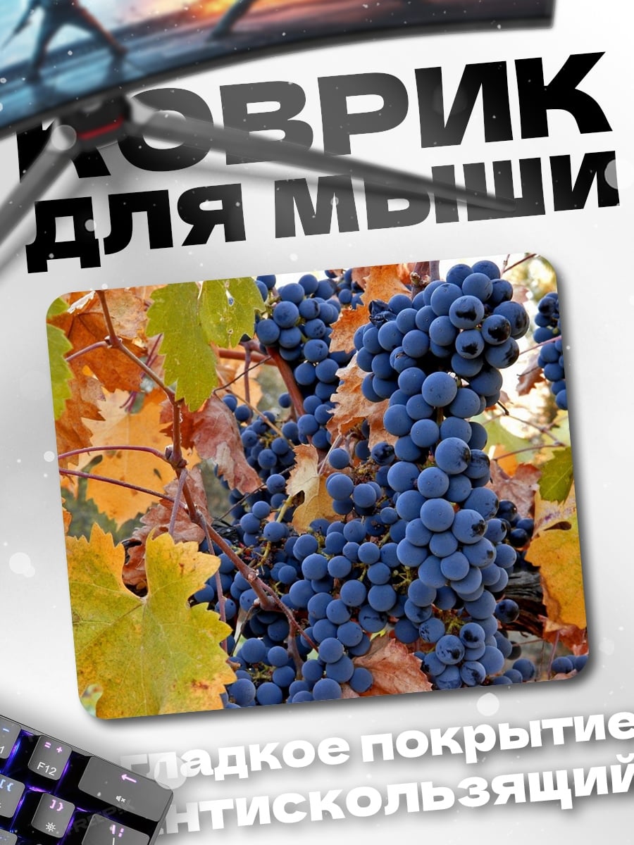Коврик Виноградная лоза осенью