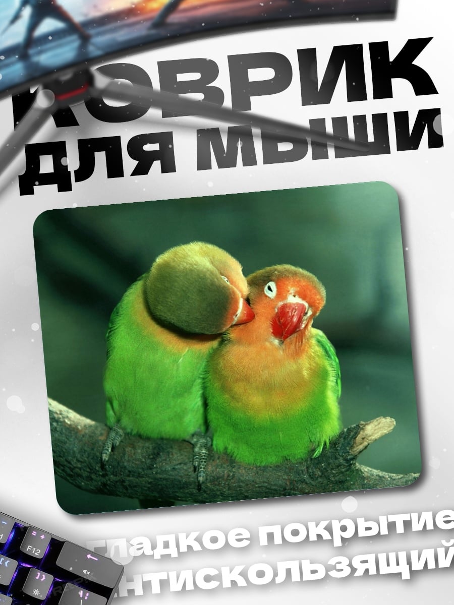 Коврик два попугая