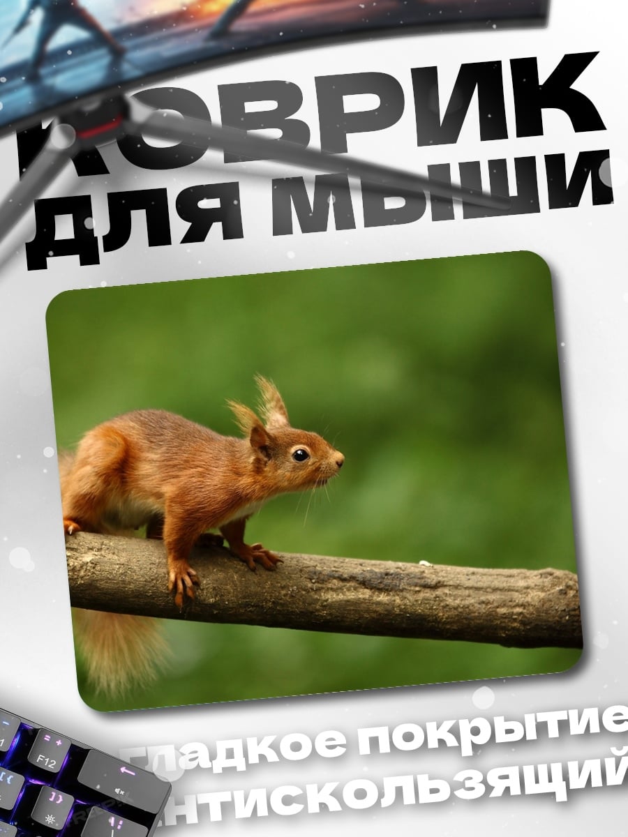 Коврик Рыжая белка на ветке