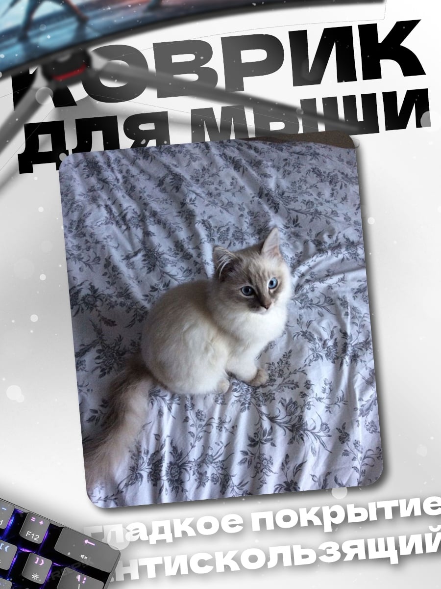 Коврик Кот на кровати