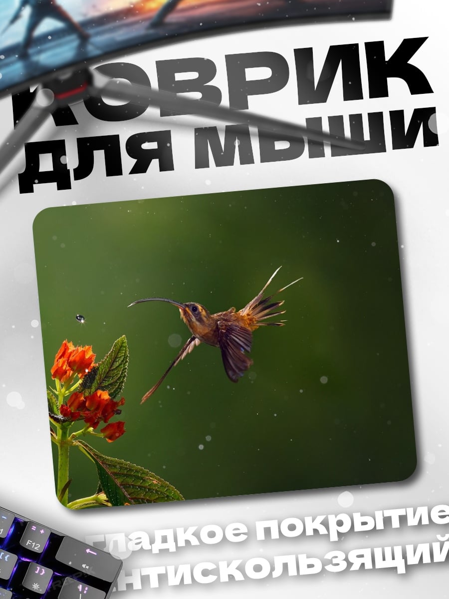 Коврик Колибри у красного цветка
