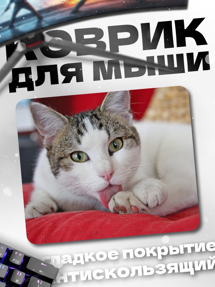 Коврик Кошка умывается