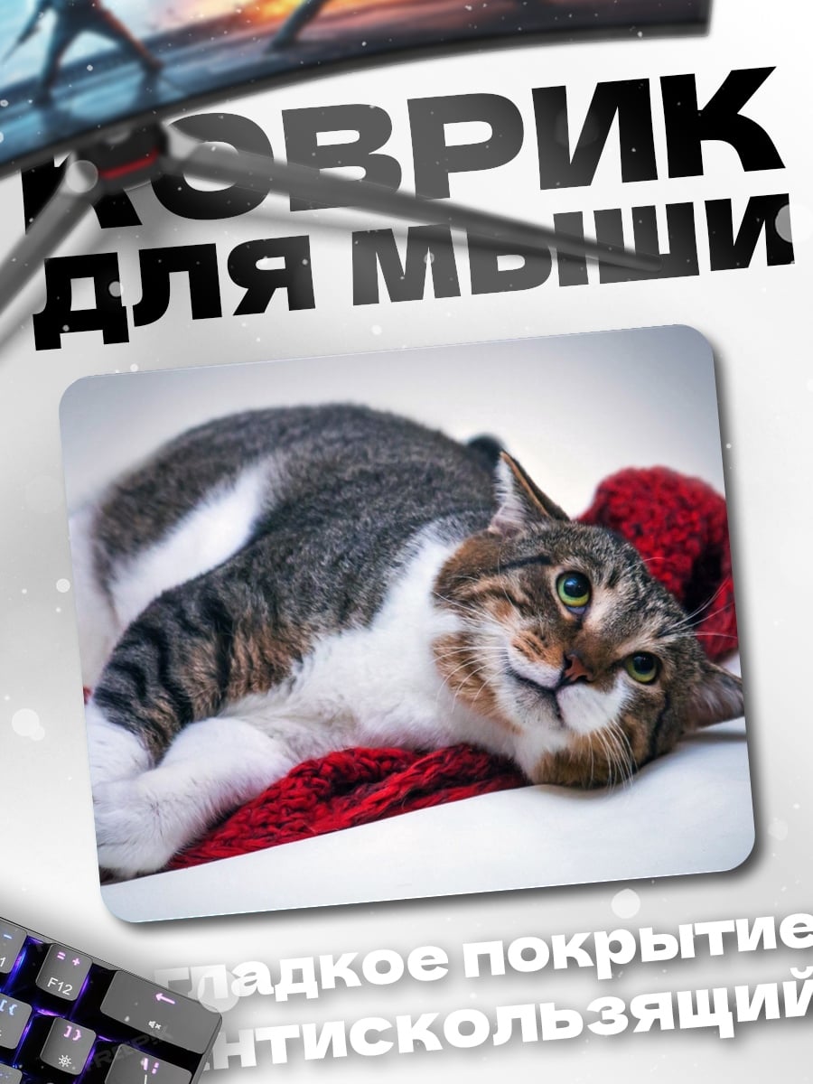 Коврик Ленивый кот