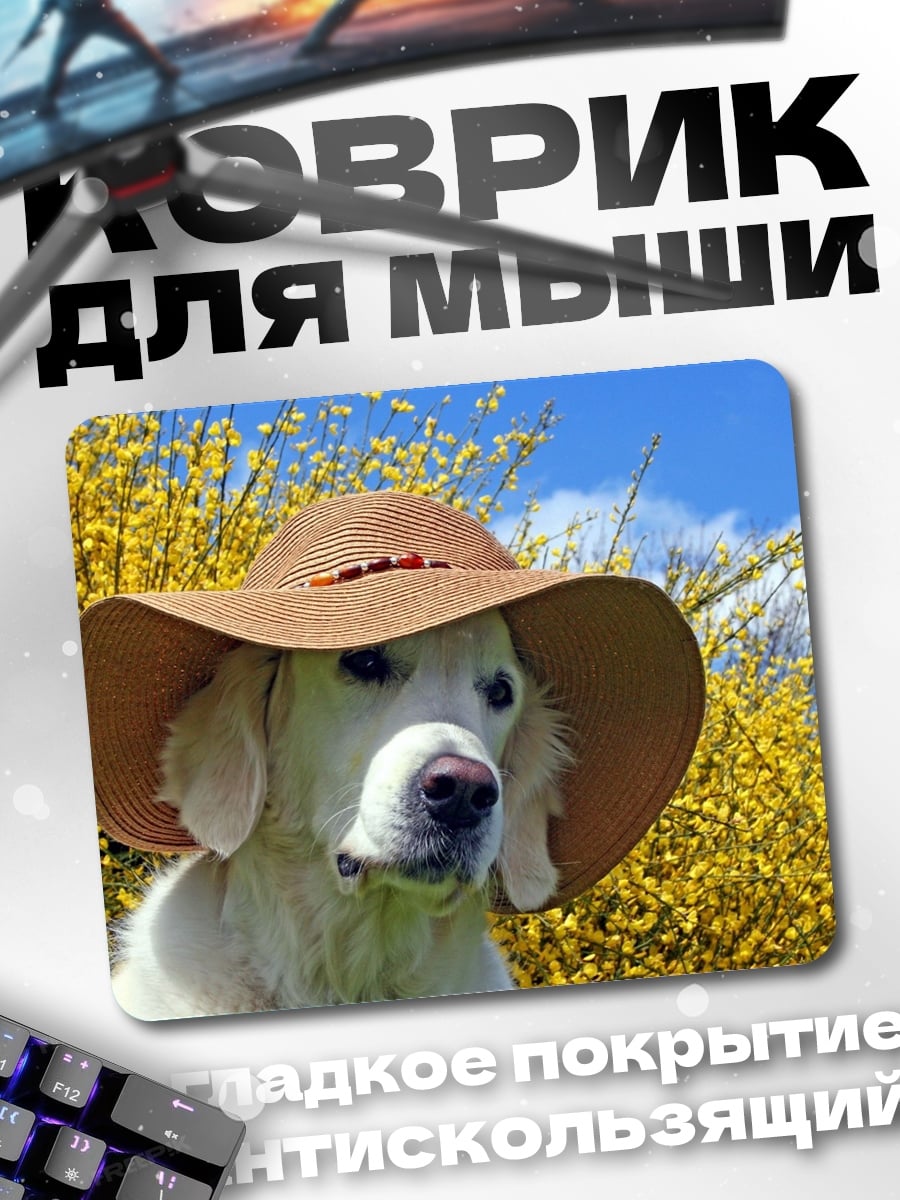 Коврик Собака в шляпе