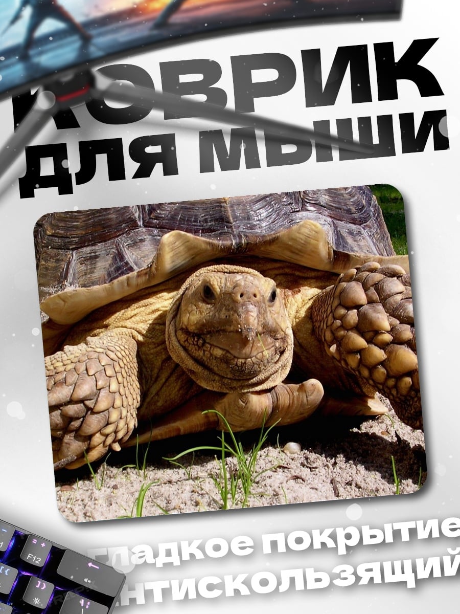 Коврик Черепаха на траве