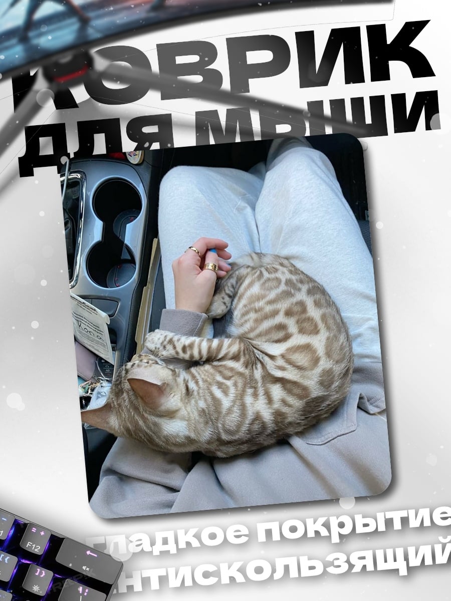 Коврик Кот на коленях