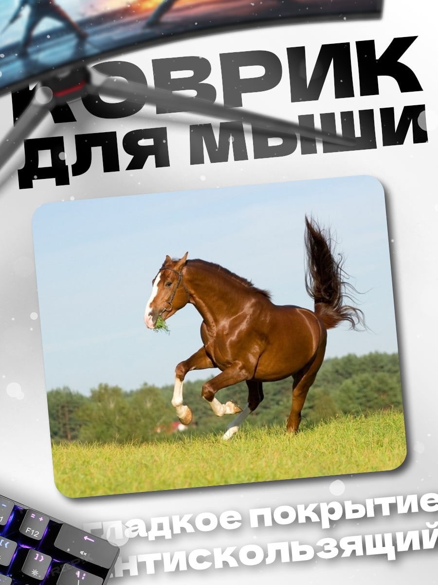 Коврик рыжий конь