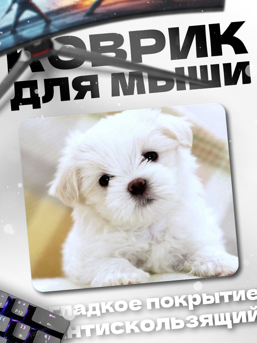 Коврик Белый щенок мальтезе