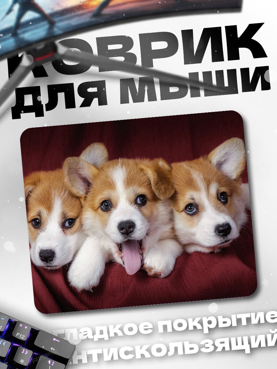 Коврик Три щенка корги