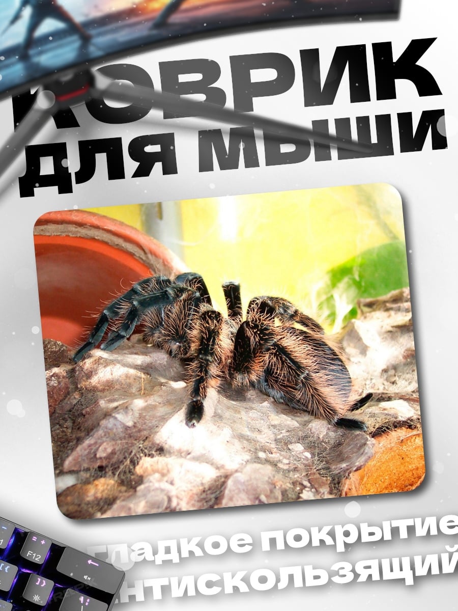 Коврик Паук-птицеед в гнезде