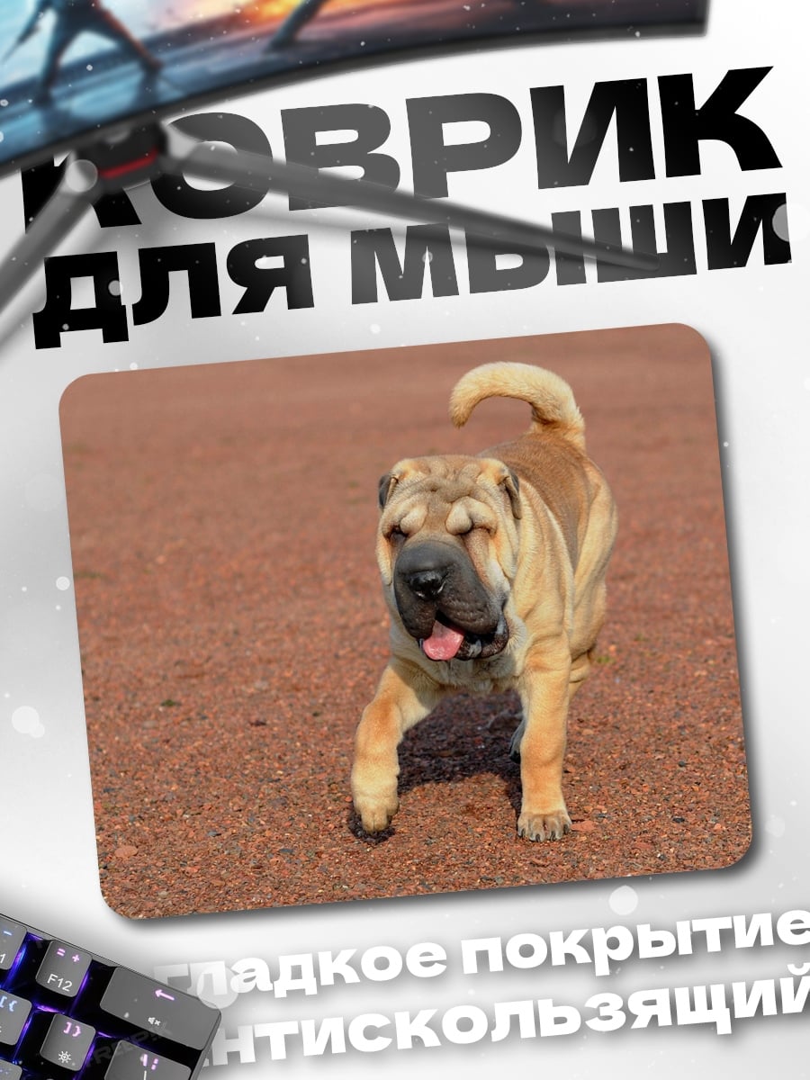 Коврик Пес Чау Лежит