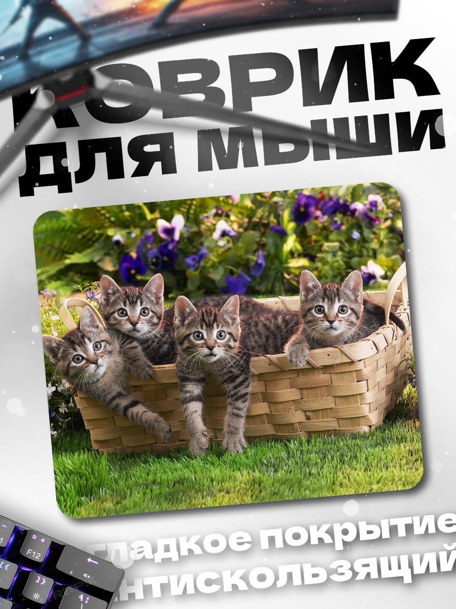Коврик котята в корзине