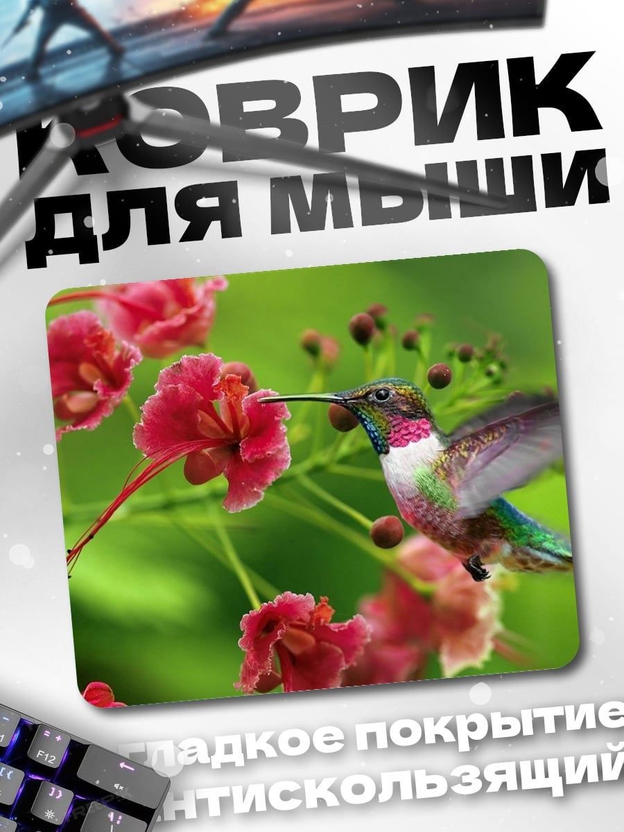 Коврик Колибри у цветов