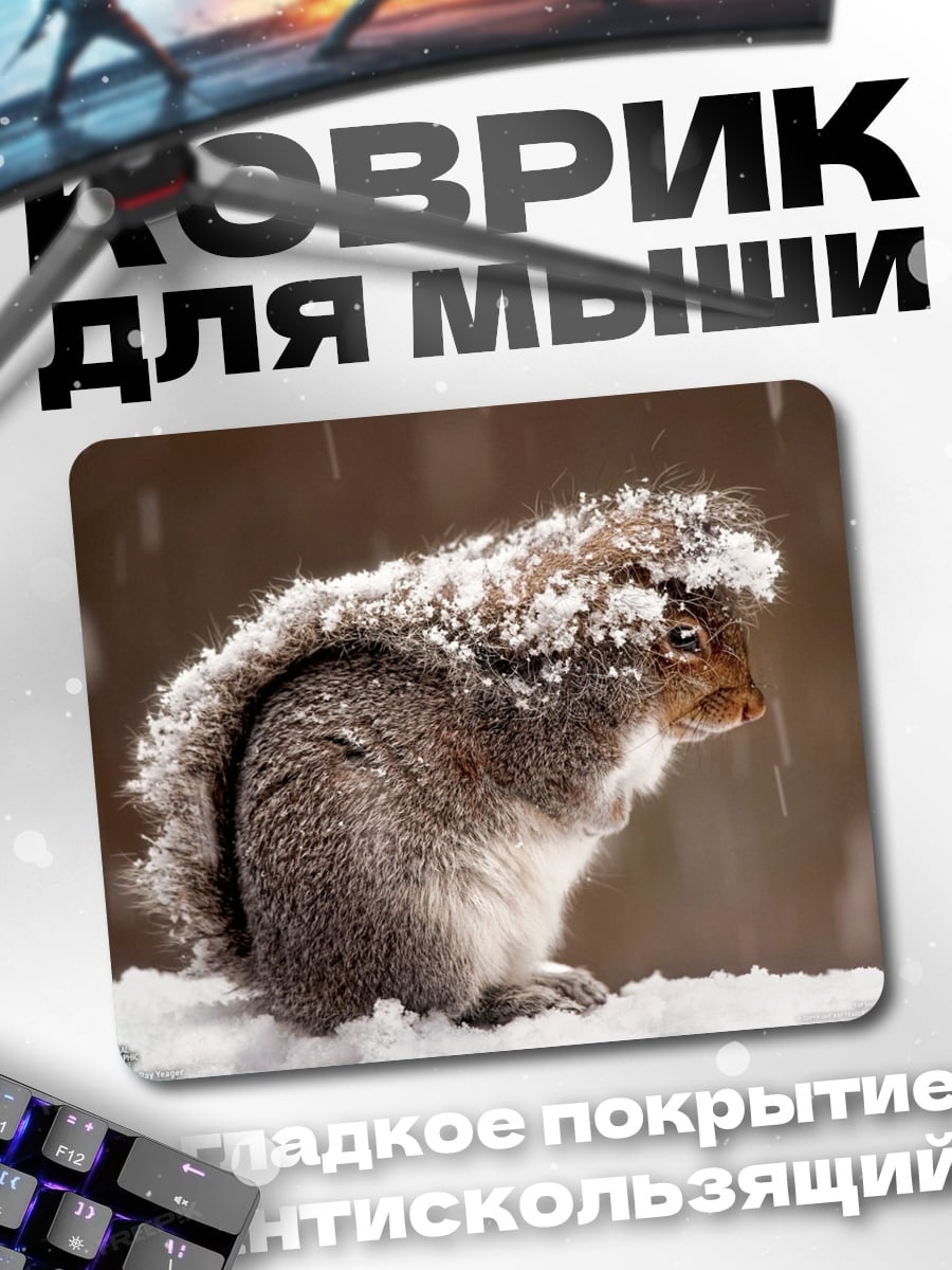 Коврик Белка в снегу