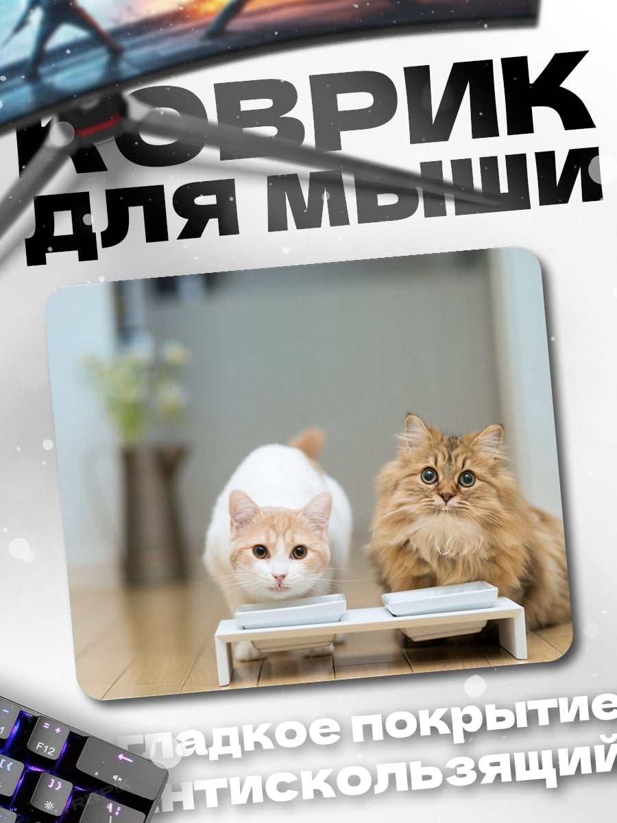 Коврик два котенка