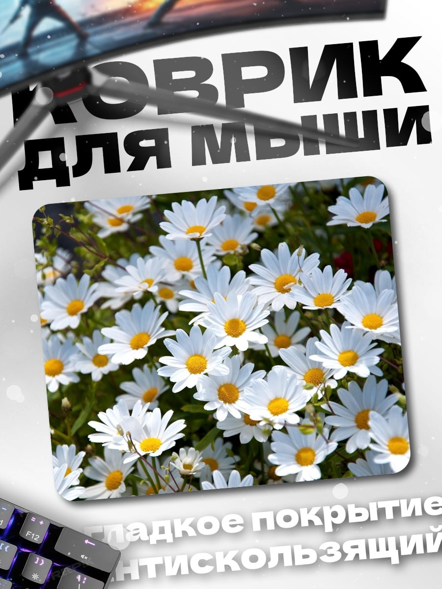 Коврик Поле белых ромашек