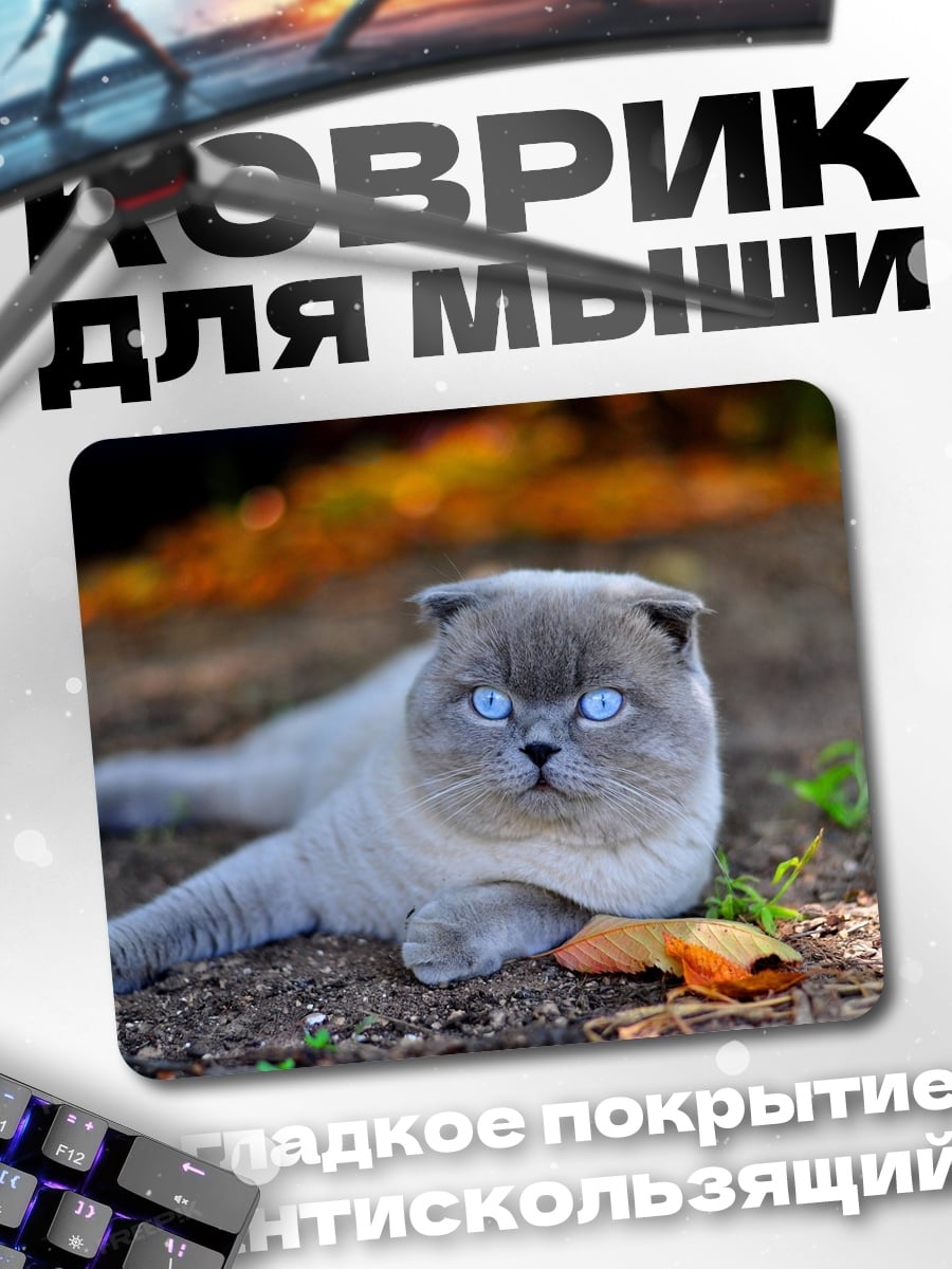 Коврик Кот с голубыми глазами