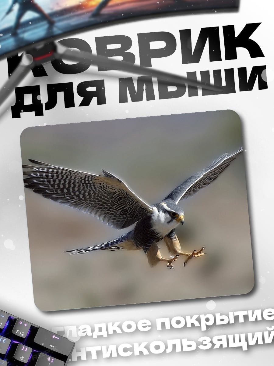 Коврик сокол в полете