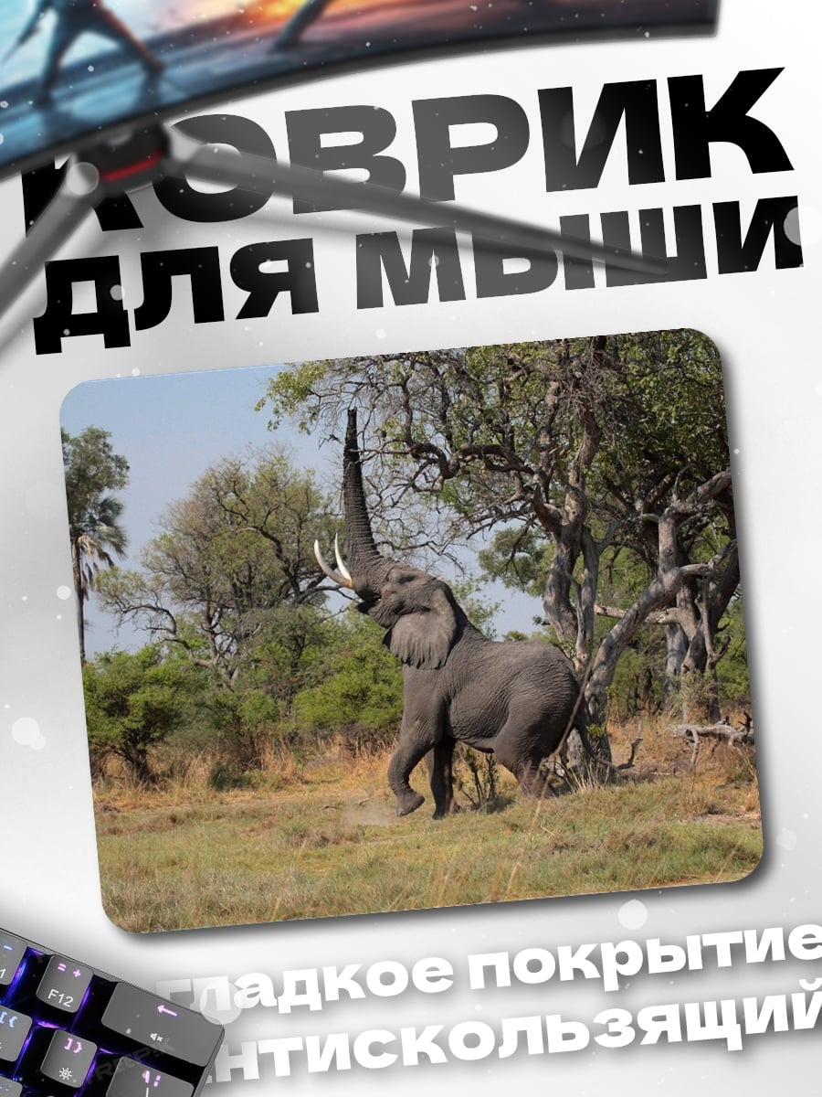 Коврик Слон трубит