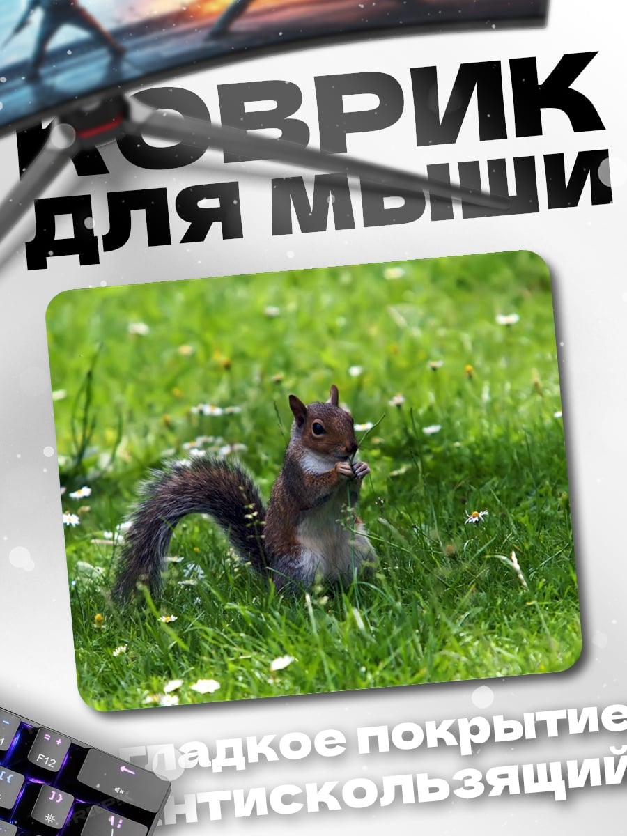 Коврик Белка в траве