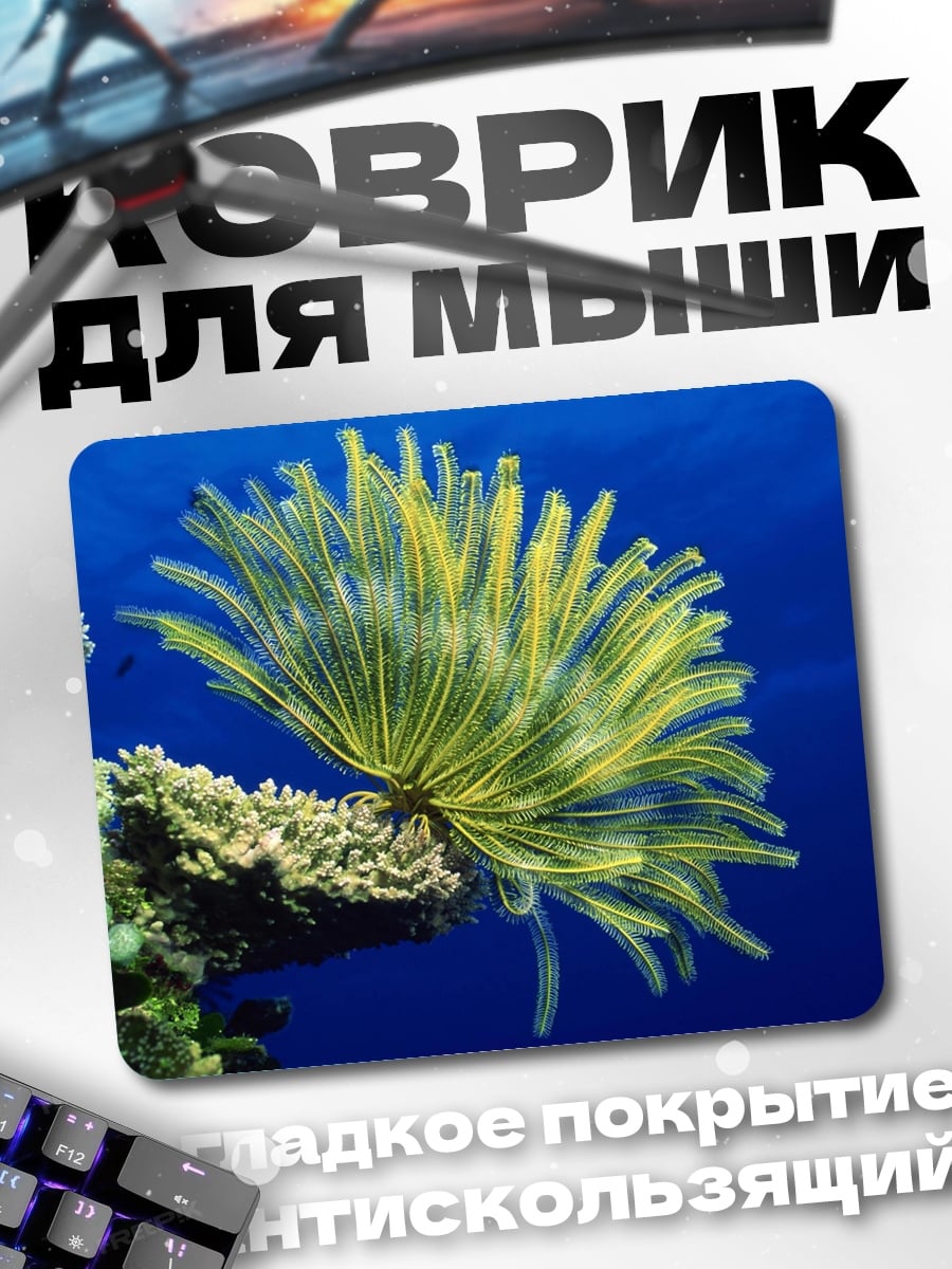 Коврик Морской цветок