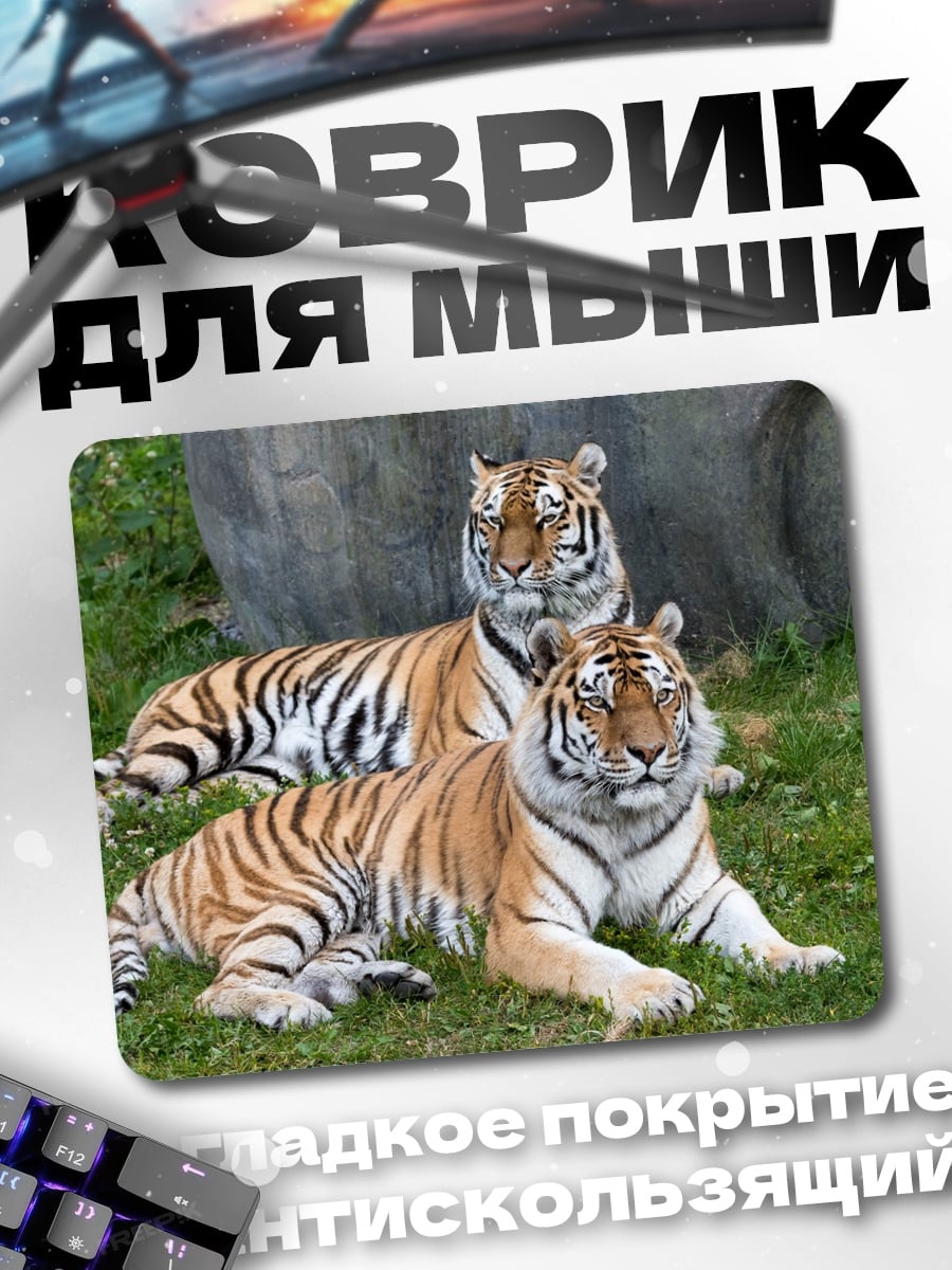 Коврик Два тигра отдыхают