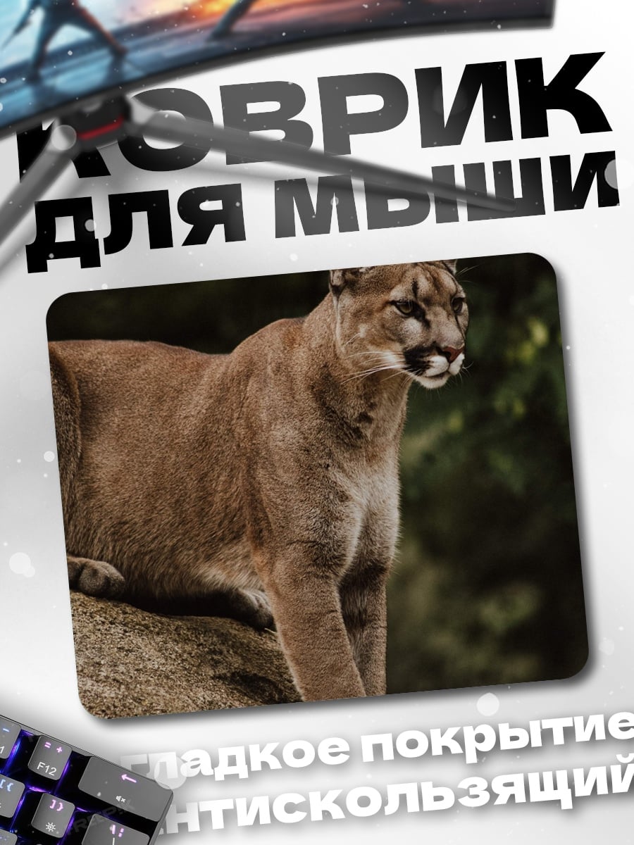 Коврик Пума на камне