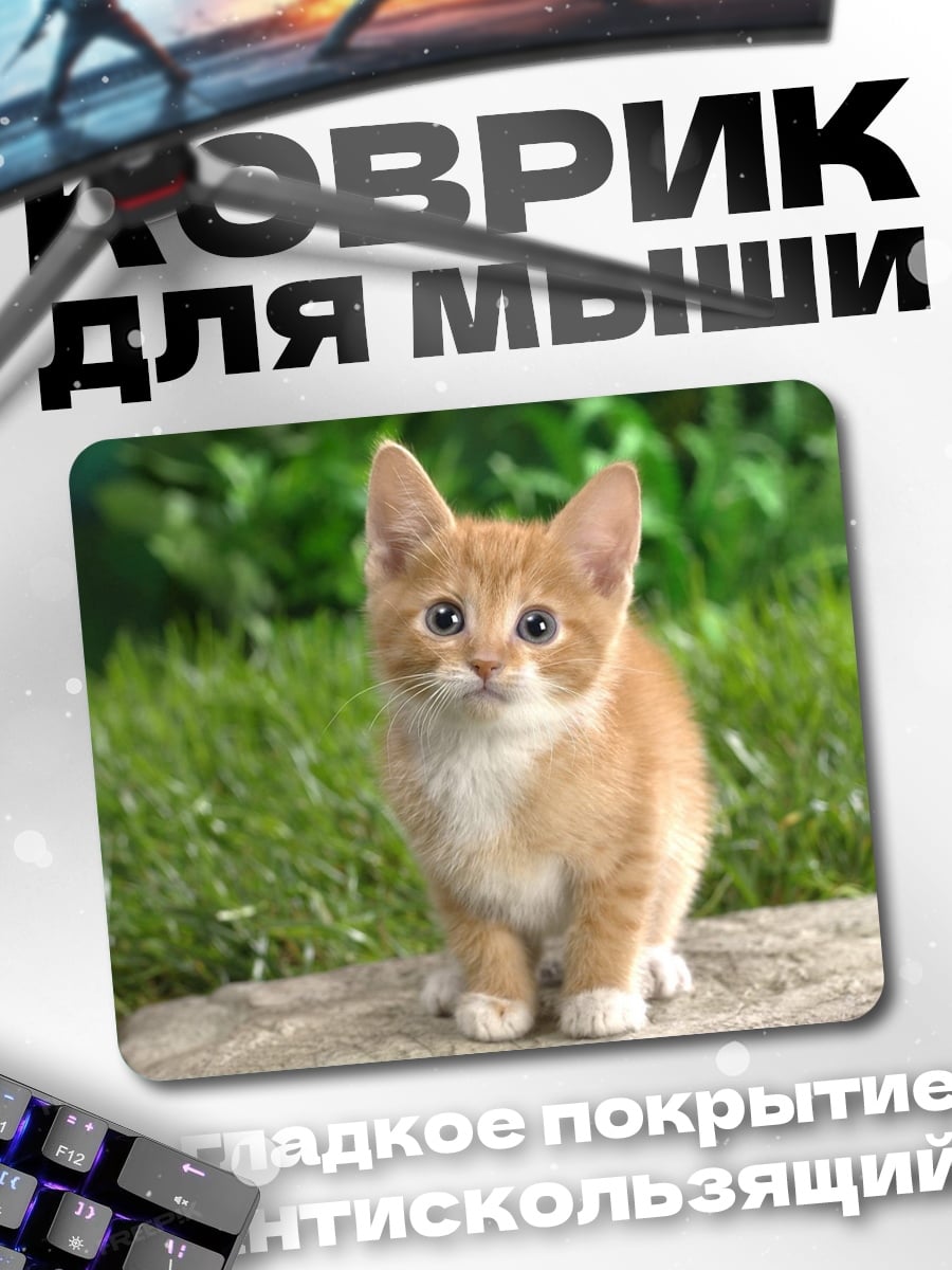 Коврик Рыжий котёнок