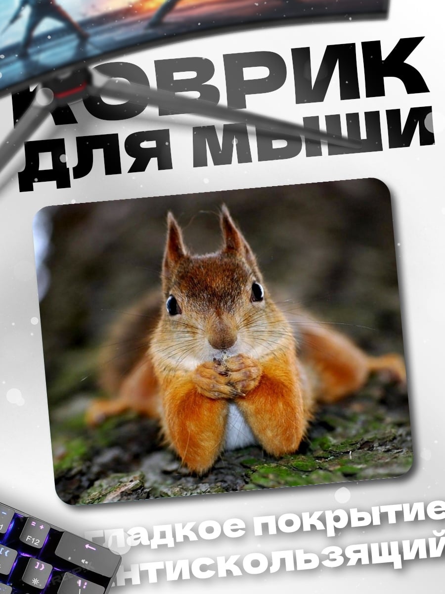 Коврик Белка ест орех