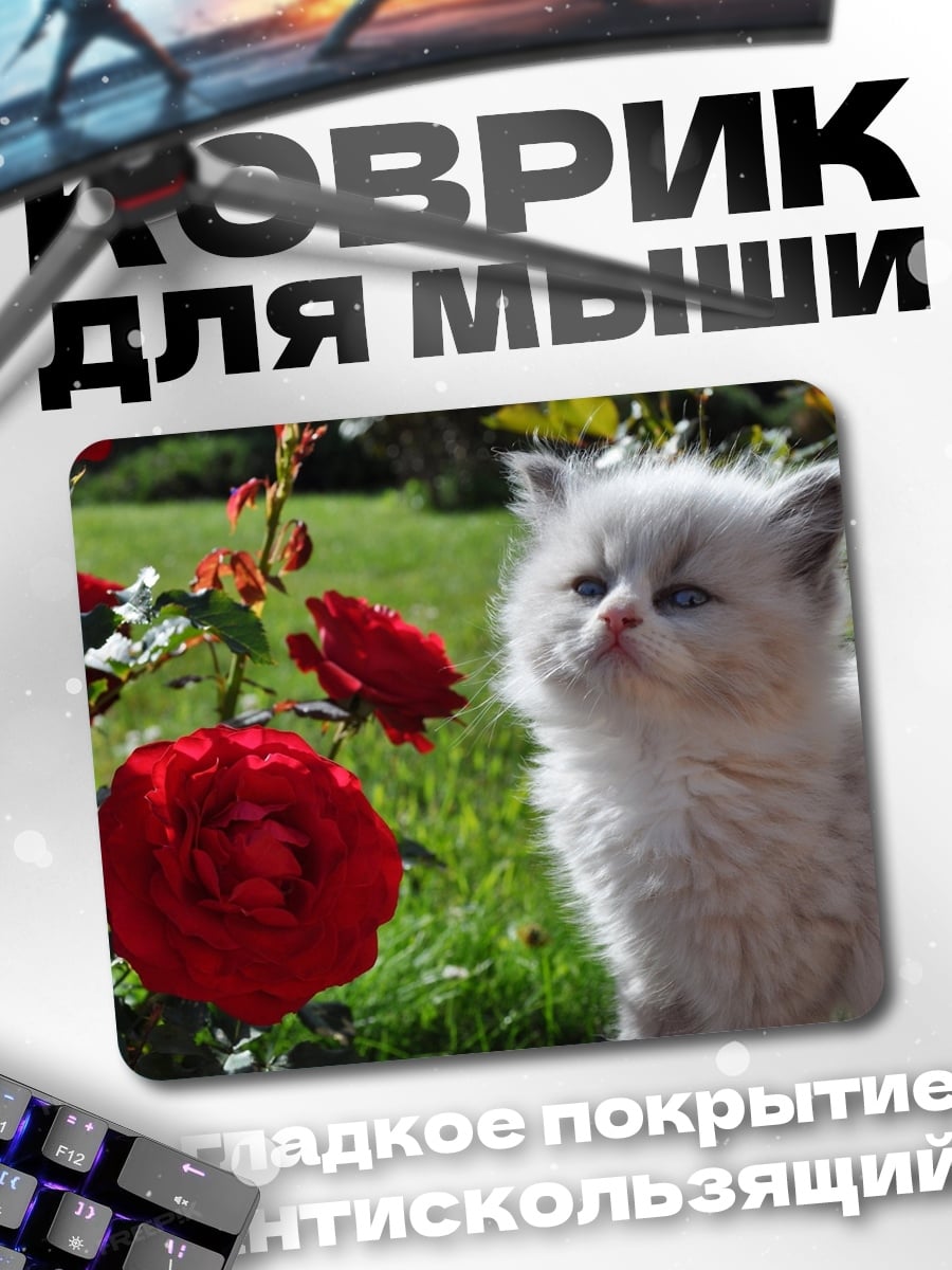 Коврик Котёнок и розы