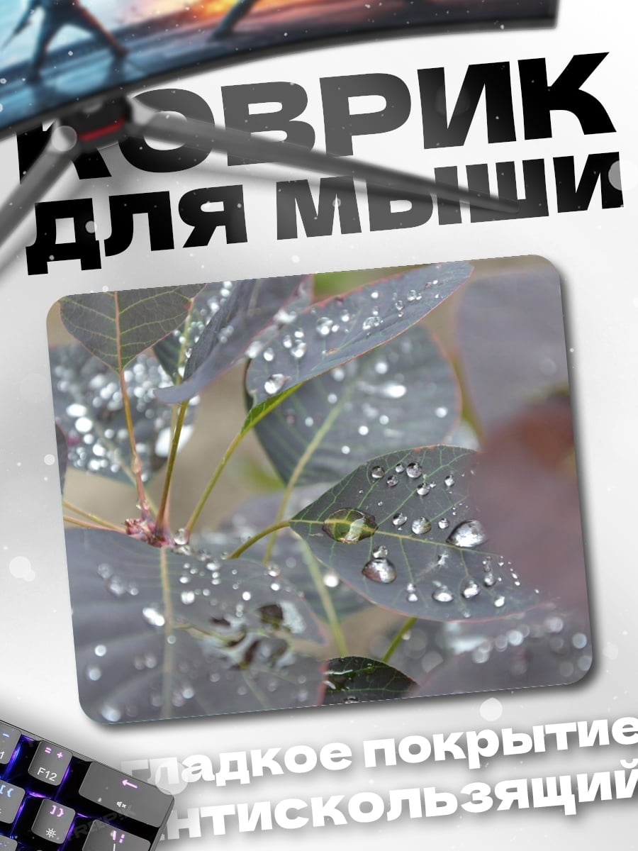 Коврик Капли на листьях