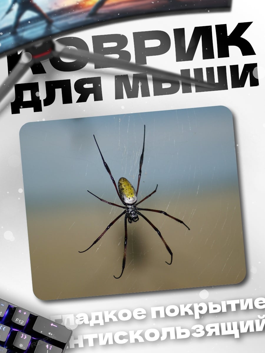 Коврик Паук-птицеед