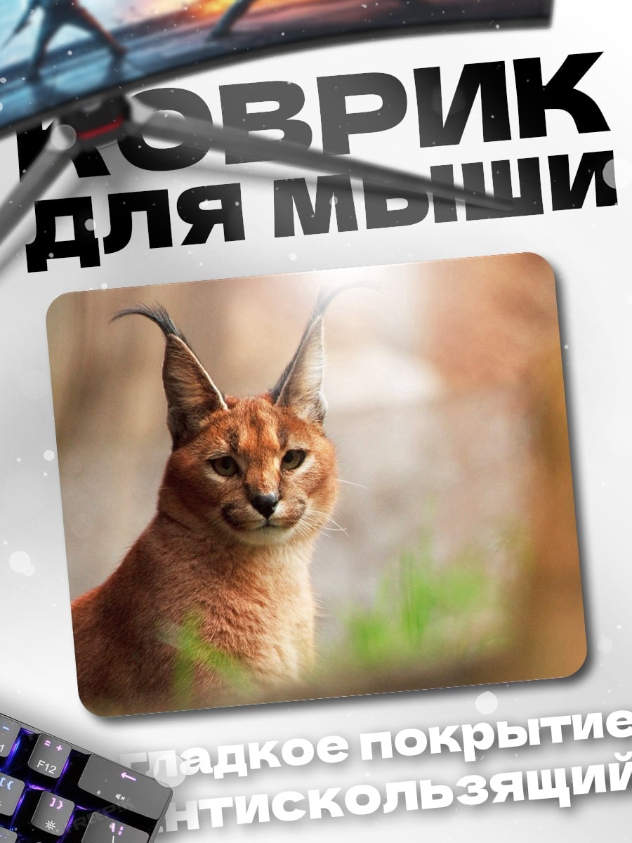 Коврик Рысь в природе