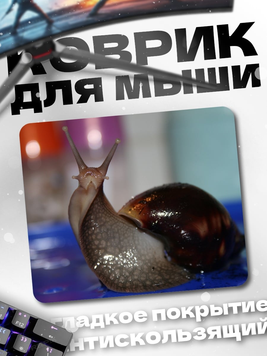 Коврик улитка на синем