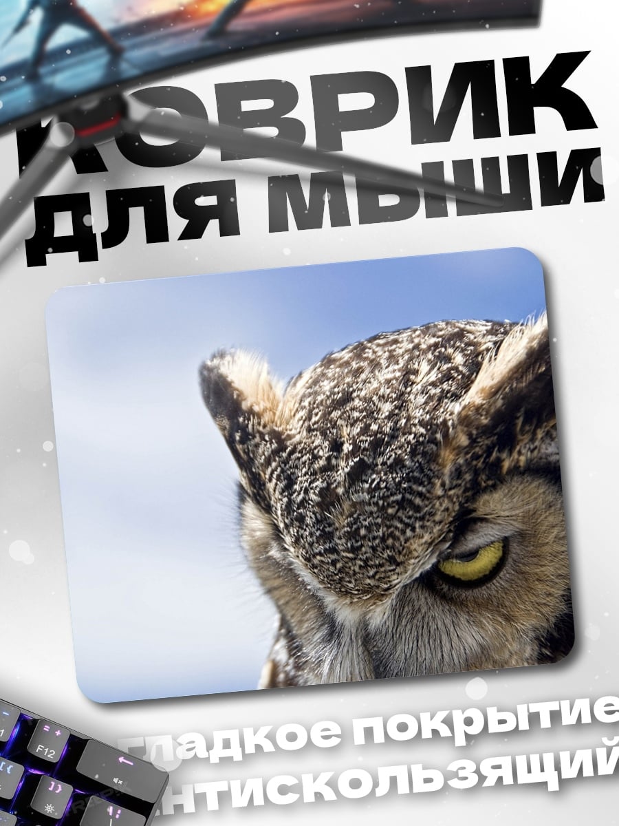 Коврик сова на фоне неба
