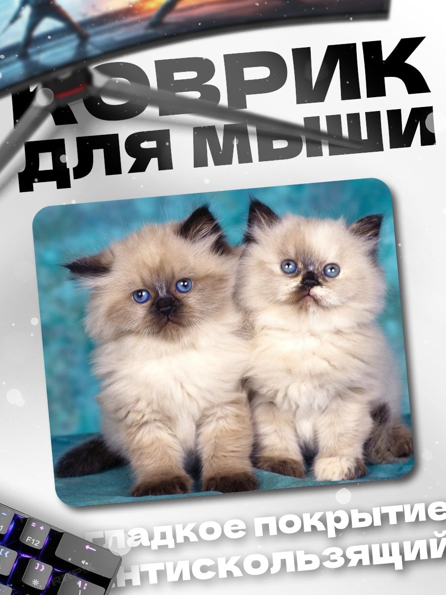 Коврик Два котенка