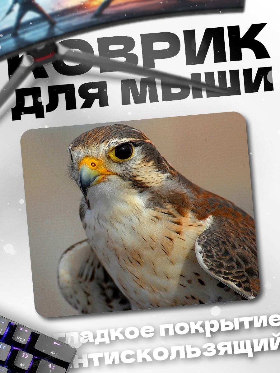 Коврик Сокол