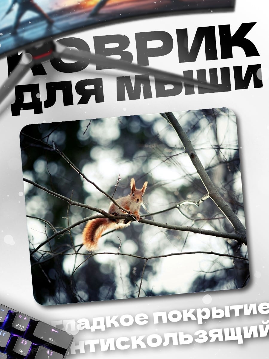 Коврик Белка на ветке