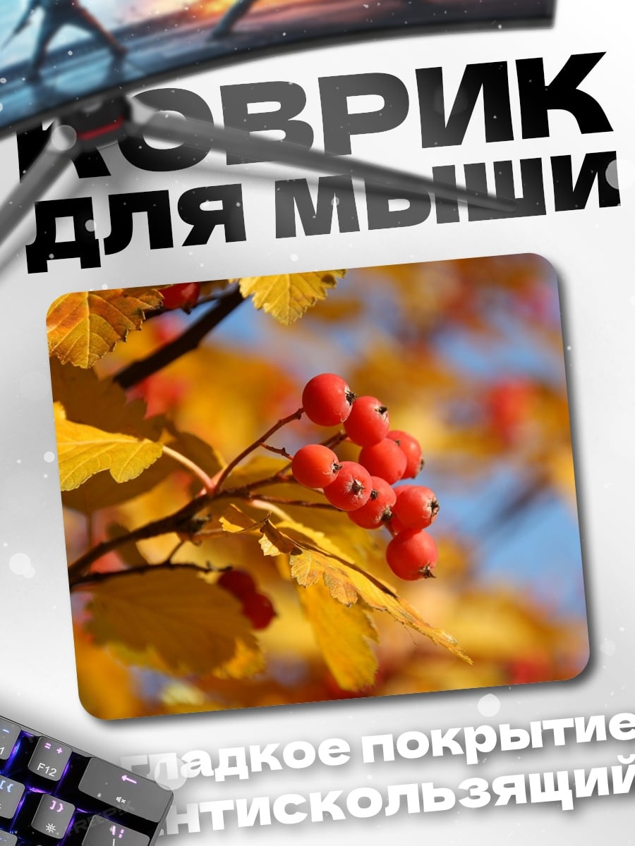Коврик Ягоды рябины осенью