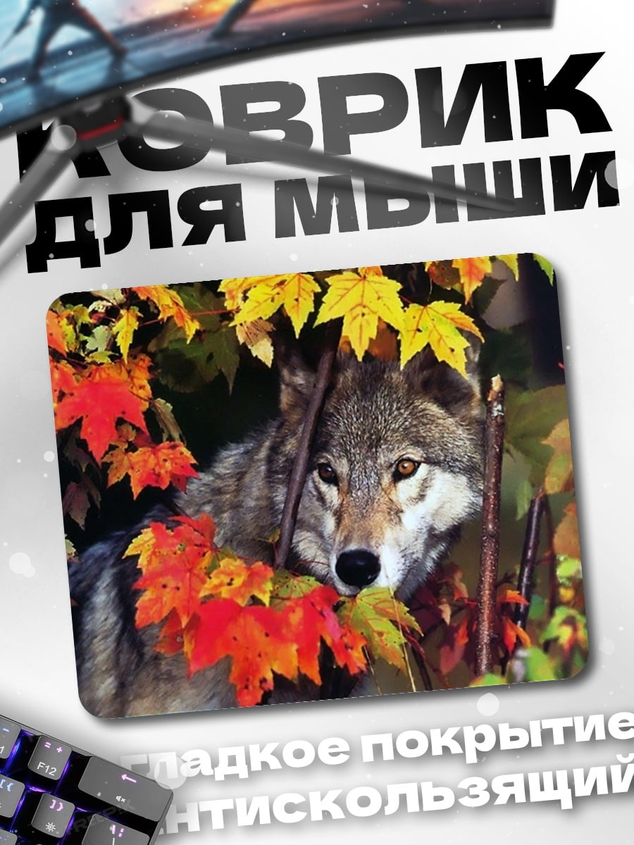 Коврик Волк в осеннем лесу