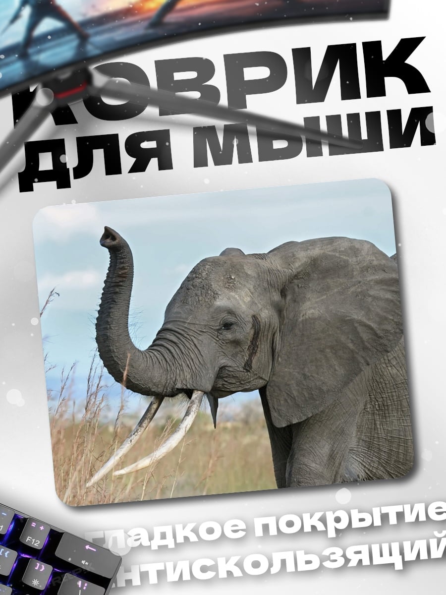 Коврик Африканский слон трубит