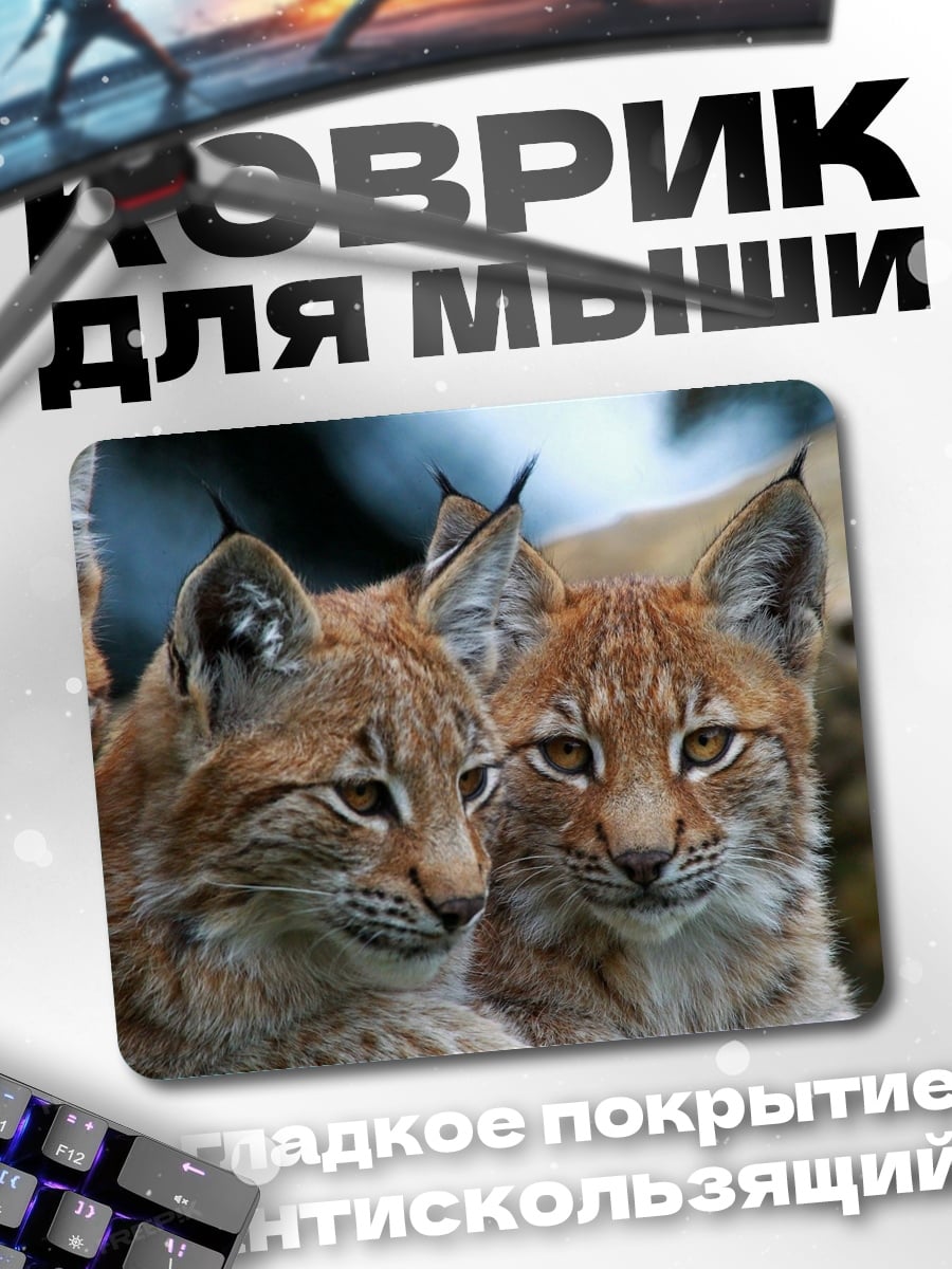 Коврик рыси в лесу