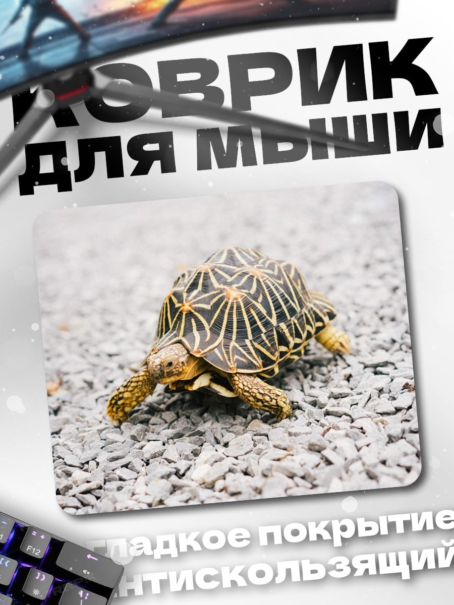Коврик Черепаха на камнях
