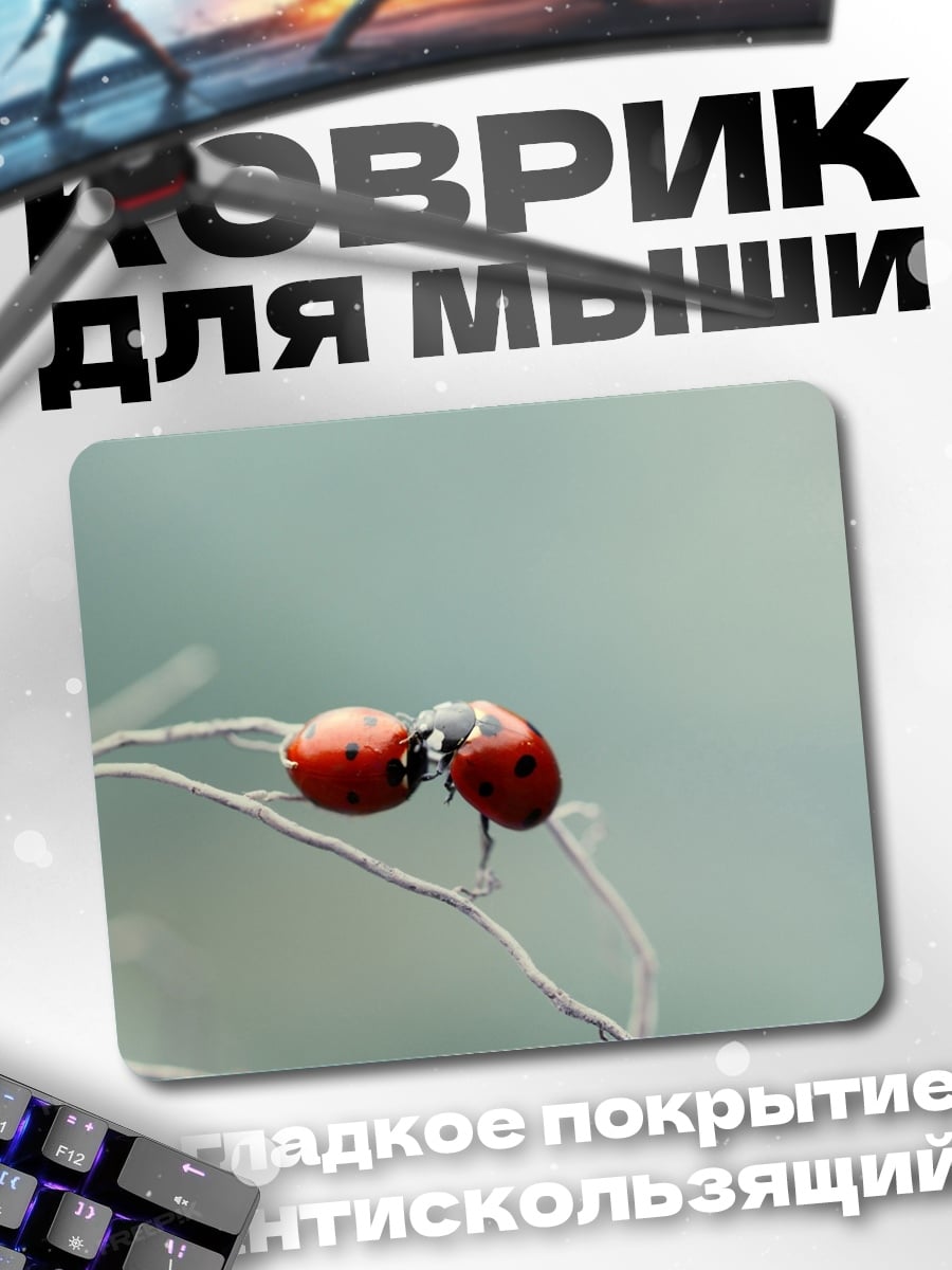 Коврик Две божьих коровки