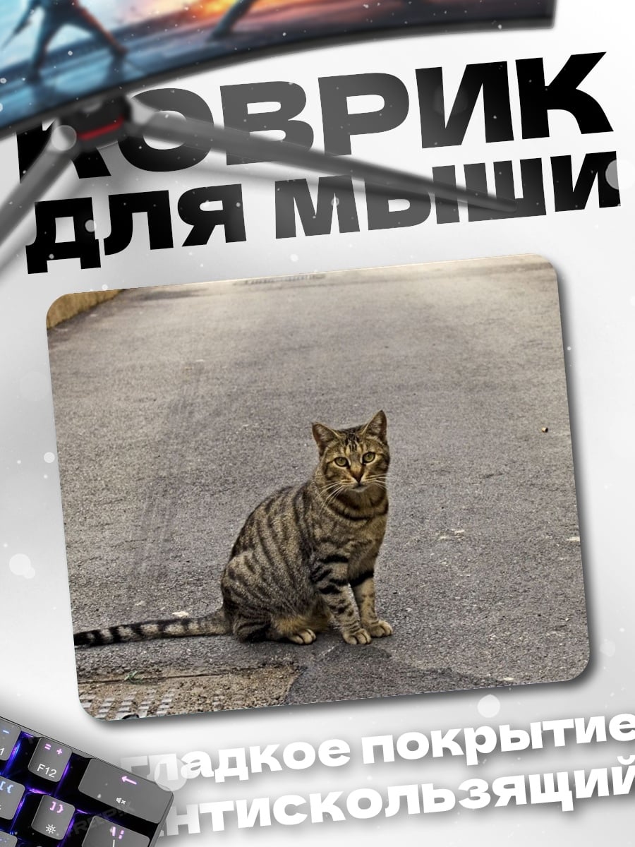 Коврик Кот на дороге