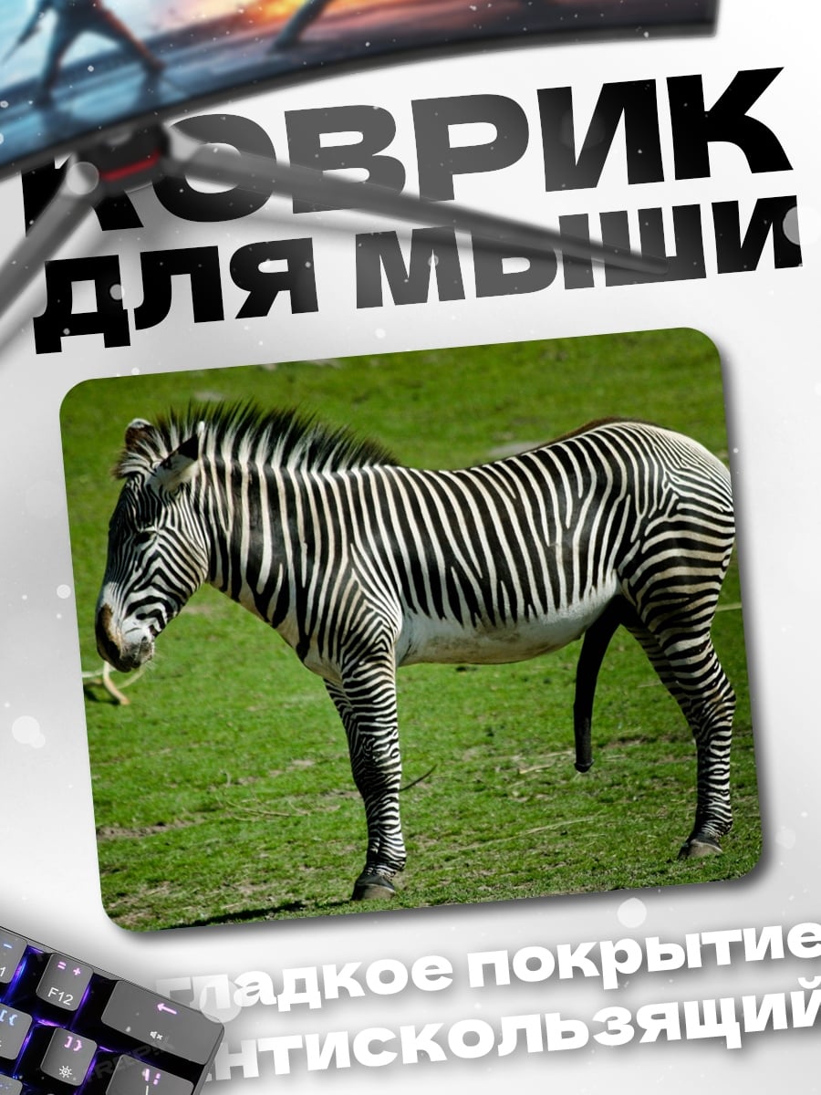 Коврик Полосатая зебра