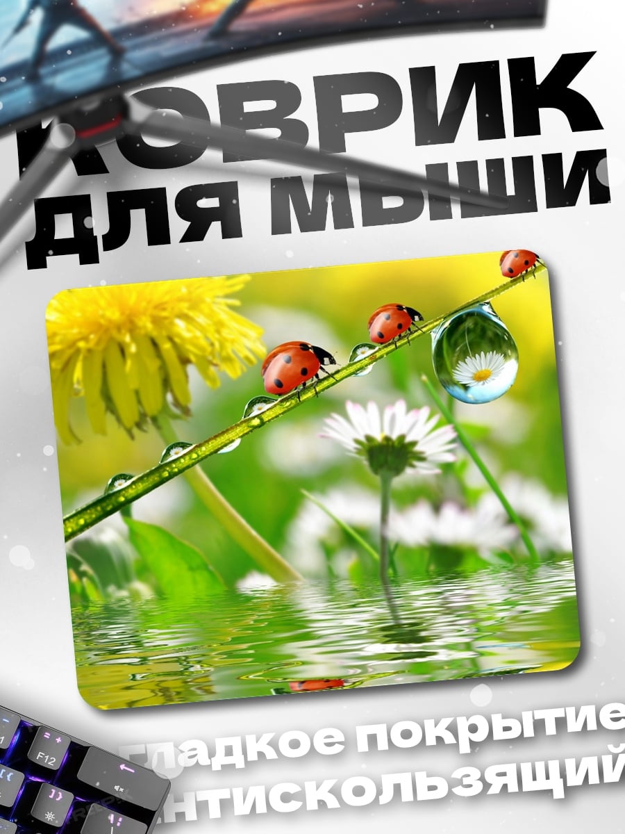 Коврик Божьи коровки на траве